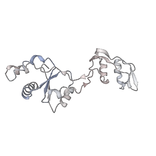 14480_7z3o_Ls_v1-3
Cryo-EM structure of the ribosome-associated RAC complex on the 80S ribosome - RAC-2 conformation
