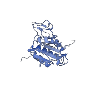 14480_7z3o_SA_v1-3
Cryo-EM structure of the ribosome-associated RAC complex on the 80S ribosome - RAC-2 conformation
