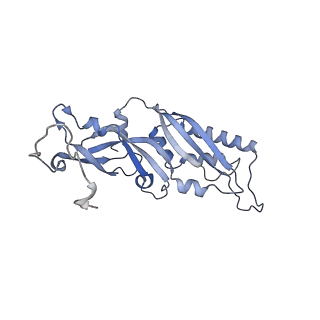 14480_7z3o_SB_v1-3
Cryo-EM structure of the ribosome-associated RAC complex on the 80S ribosome - RAC-2 conformation