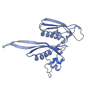 14480_7z3o_SC_v1-3
Cryo-EM structure of the ribosome-associated RAC complex on the 80S ribosome - RAC-2 conformation