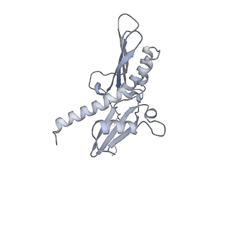 14480_7z3o_SD_v1-3
Cryo-EM structure of the ribosome-associated RAC complex on the 80S ribosome - RAC-2 conformation
