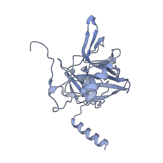 14480_7z3o_SE_v1-3
Cryo-EM structure of the ribosome-associated RAC complex on the 80S ribosome - RAC-2 conformation