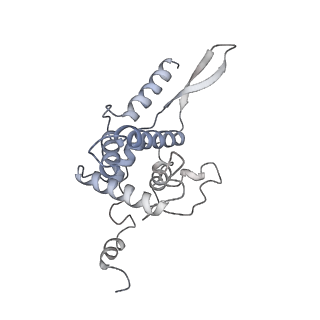 14480_7z3o_SF_v1-3
Cryo-EM structure of the ribosome-associated RAC complex on the 80S ribosome - RAC-2 conformation