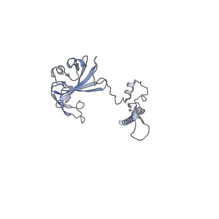 14480_7z3o_SG_v1-3
Cryo-EM structure of the ribosome-associated RAC complex on the 80S ribosome - RAC-2 conformation