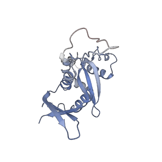 14480_7z3o_SH_v1-3
Cryo-EM structure of the ribosome-associated RAC complex on the 80S ribosome - RAC-2 conformation
