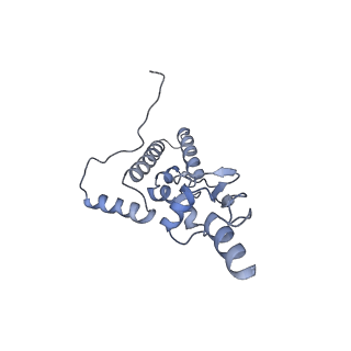 14480_7z3o_SJ_v1-3
Cryo-EM structure of the ribosome-associated RAC complex on the 80S ribosome - RAC-2 conformation