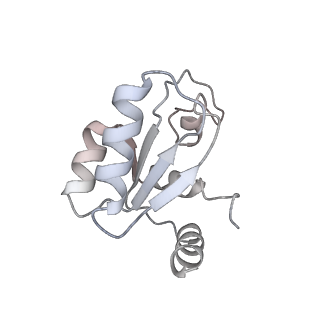14480_7z3o_SM_v1-3
Cryo-EM structure of the ribosome-associated RAC complex on the 80S ribosome - RAC-2 conformation