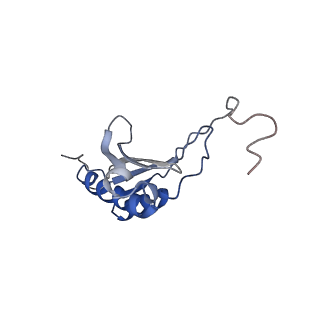 14480_7z3o_SO_v1-3
Cryo-EM structure of the ribosome-associated RAC complex on the 80S ribosome - RAC-2 conformation