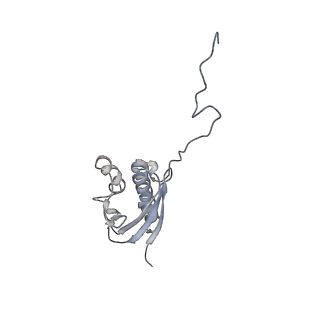 14480_7z3o_SQ_v1-3
Cryo-EM structure of the ribosome-associated RAC complex on the 80S ribosome - RAC-2 conformation