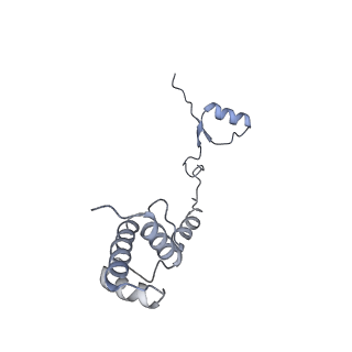 14480_7z3o_SR_v1-3
Cryo-EM structure of the ribosome-associated RAC complex on the 80S ribosome - RAC-2 conformation
