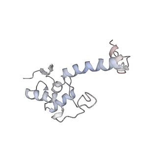 14480_7z3o_SS_v1-3
Cryo-EM structure of the ribosome-associated RAC complex on the 80S ribosome - RAC-2 conformation