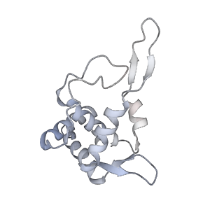 14480_7z3o_ST_v1-3
Cryo-EM structure of the ribosome-associated RAC complex on the 80S ribosome - RAC-2 conformation