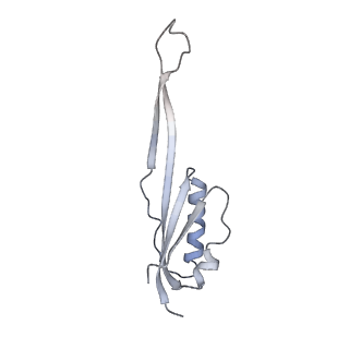 14480_7z3o_SU_v1-3
Cryo-EM structure of the ribosome-associated RAC complex on the 80S ribosome - RAC-2 conformation