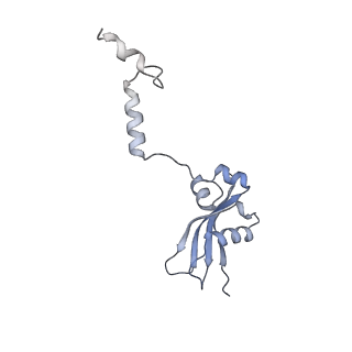 14480_7z3o_SY_v1-3
Cryo-EM structure of the ribosome-associated RAC complex on the 80S ribosome - RAC-2 conformation