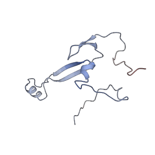 14480_7z3o_Sa_v1-3
Cryo-EM structure of the ribosome-associated RAC complex on the 80S ribosome - RAC-2 conformation
