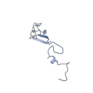 14480_7z3o_Sb_v1-3
Cryo-EM structure of the ribosome-associated RAC complex on the 80S ribosome - RAC-2 conformation