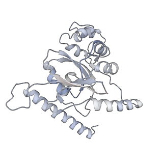 6878_5z3g_D_v1-2
Cryo-EM structure of a nucleolar pre-60S ribosome (Rpf1-TAP)