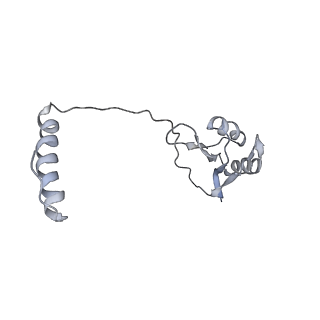 6878_5z3g_E_v1-2
Cryo-EM structure of a nucleolar pre-60S ribosome (Rpf1-TAP)