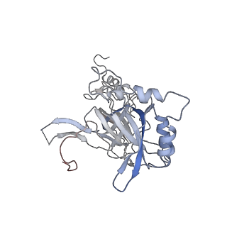 6878_5z3g_F_v1-2
Cryo-EM structure of a nucleolar pre-60S ribosome (Rpf1-TAP)