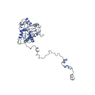 6878_5z3g_G_v1-2
Cryo-EM structure of a nucleolar pre-60S ribosome (Rpf1-TAP)