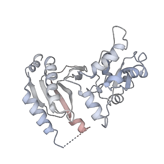 6878_5z3g_H_v1-2
Cryo-EM structure of a nucleolar pre-60S ribosome (Rpf1-TAP)
