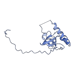 6878_5z3g_I_v1-2
Cryo-EM structure of a nucleolar pre-60S ribosome (Rpf1-TAP)