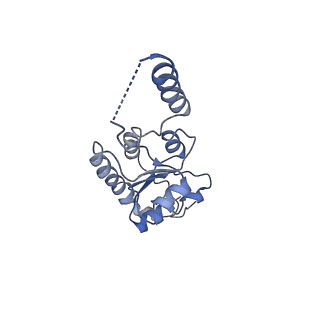 6878_5z3g_K_v1-2
Cryo-EM structure of a nucleolar pre-60S ribosome (Rpf1-TAP)