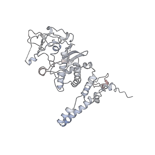 6878_5z3g_M_v1-2
Cryo-EM structure of a nucleolar pre-60S ribosome (Rpf1-TAP)