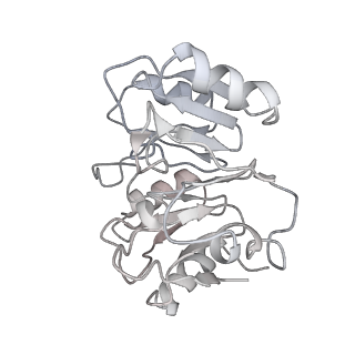6878_5z3g_N_v1-2
Cryo-EM structure of a nucleolar pre-60S ribosome (Rpf1-TAP)