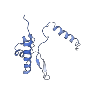 6878_5z3g_P_v1-2
Cryo-EM structure of a nucleolar pre-60S ribosome (Rpf1-TAP)