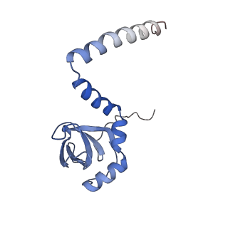 6878_5z3g_Q_v1-2
Cryo-EM structure of a nucleolar pre-60S ribosome (Rpf1-TAP)
