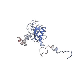 6878_5z3g_R_v1-2
Cryo-EM structure of a nucleolar pre-60S ribosome (Rpf1-TAP)