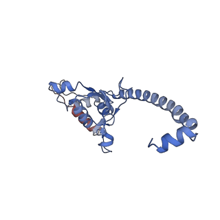 6878_5z3g_S_v1-2
Cryo-EM structure of a nucleolar pre-60S ribosome (Rpf1-TAP)