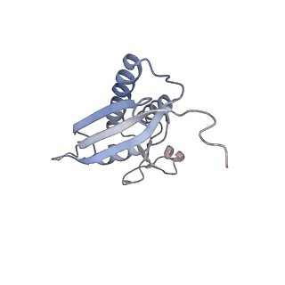 6878_5z3g_T_v1-2
Cryo-EM structure of a nucleolar pre-60S ribosome (Rpf1-TAP)