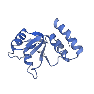 6878_5z3g_U_v1-2
Cryo-EM structure of a nucleolar pre-60S ribosome (Rpf1-TAP)