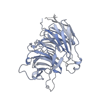 6878_5z3g_V_v1-2
Cryo-EM structure of a nucleolar pre-60S ribosome (Rpf1-TAP)