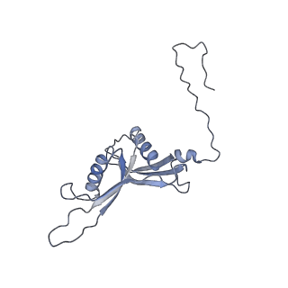 6878_5z3g_W_v1-2
Cryo-EM structure of a nucleolar pre-60S ribosome (Rpf1-TAP)