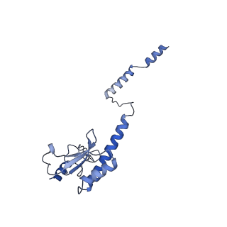 6878_5z3g_Z_v1-2
Cryo-EM structure of a nucleolar pre-60S ribosome (Rpf1-TAP)