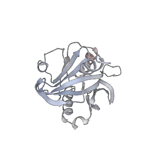 6878_5z3g_a_v1-2
Cryo-EM structure of a nucleolar pre-60S ribosome (Rpf1-TAP)