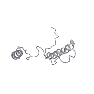 6878_5z3g_b_v1-2
Cryo-EM structure of a nucleolar pre-60S ribosome (Rpf1-TAP)