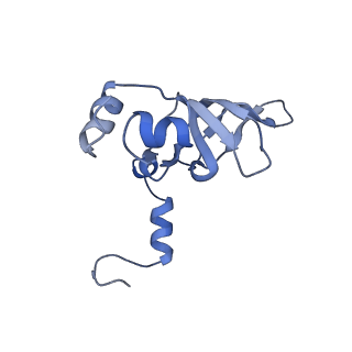 6878_5z3g_c_v1-2
Cryo-EM structure of a nucleolar pre-60S ribosome (Rpf1-TAP)