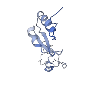 6878_5z3g_i_v1-2
Cryo-EM structure of a nucleolar pre-60S ribosome (Rpf1-TAP)