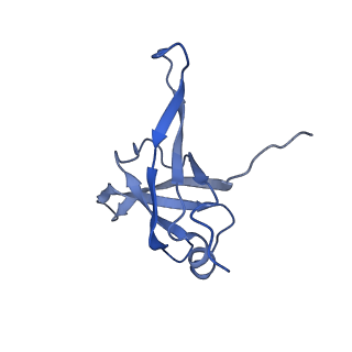 6878_5z3g_j_v1-2
Cryo-EM structure of a nucleolar pre-60S ribosome (Rpf1-TAP)