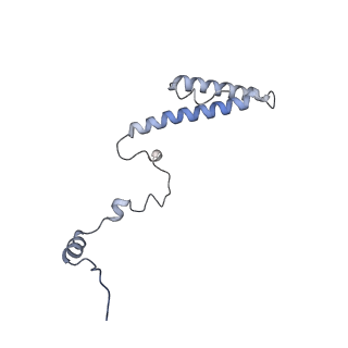 6878_5z3g_l_v1-2
Cryo-EM structure of a nucleolar pre-60S ribosome (Rpf1-TAP)