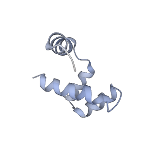6878_5z3g_m_v1-2
Cryo-EM structure of a nucleolar pre-60S ribosome (Rpf1-TAP)