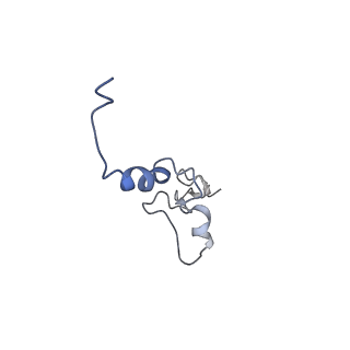6878_5z3g_n_v1-2
Cryo-EM structure of a nucleolar pre-60S ribosome (Rpf1-TAP)