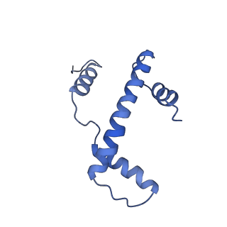 6879_5z3l_A_v1-0
Structure of Snf2-nucleosome complex in apo state