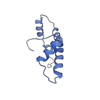 6879_5z3l_B_v1-0
Structure of Snf2-nucleosome complex in apo state