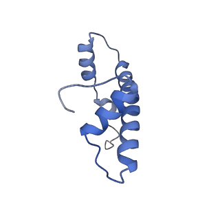 6879_5z3l_B_v1-1
Structure of Snf2-nucleosome complex in apo state