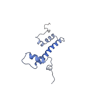6879_5z3l_C_v1-0
Structure of Snf2-nucleosome complex in apo state